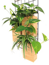 <b>3-PACK FLORA - Entry Level</b><br>giardino verticale componibile, pack da 3 vasi e griglia, con piante incluse - 𝘕EASYJUNGLE