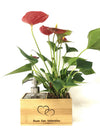 Saebe personalizzatto | con pianta Anthurium red  - 𝘕EASYJUNGLE 