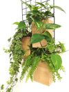<b>3-PACK FLORA - Low Light</b><br>giardino verticale componibile, pack da 3 vasi e griglia, con piante incluse - 𝘕EASYJUNGLE