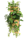 <b>6-PACK FLORA</b><br>giardino verticale componibile, pack da 6 vasi e griglie, versione Fai da te - 𝘕EASYJUNGLE