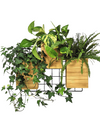 <b>3-PACK FLORA</b><br>pack da 3 vasi da appendere più griglia metallica, versione Fai da te - 𝘕EASYJUNGLE