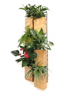 <b>6-PACK FLORA - Flower Power</b><br>giardino verticale componibile, pack da 6 vasi e griglie, con piante incluse - 𝘕EASYJUNGLE